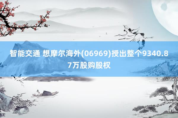 智能交通 想摩尔海外(06969)授出整个9340.87万股购股权