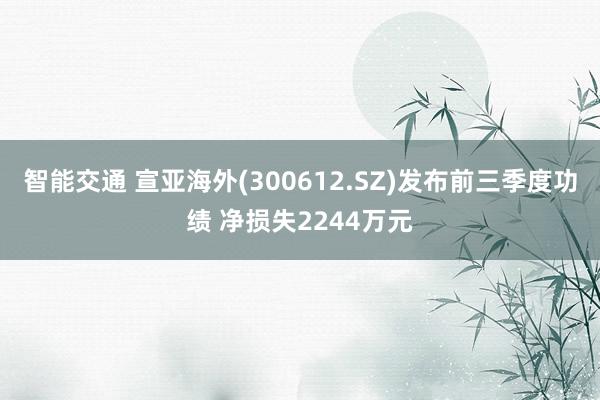 智能交通 宣亚海外(300612.SZ)发布前三季度功绩 净损失2244万元