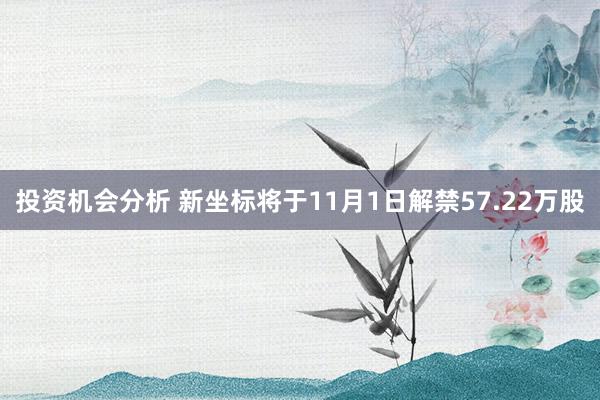 投资机会分析 新坐标将于11月1日解禁57.22万股