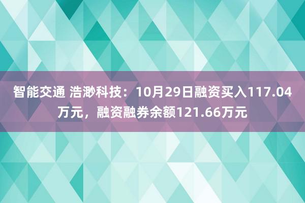 智能交通 浩渺科技：10月29日融资买入117.04万元，融资融券余额121.66万元