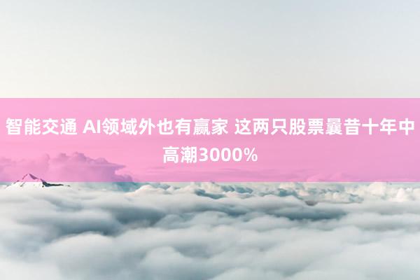 智能交通 AI领域外也有赢家 这两只股票曩昔十年中高潮3000%