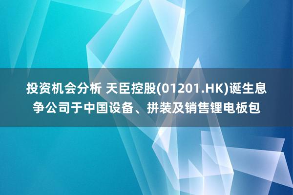 投资机会分析 天臣控股(01201.HK)诞生息争公司于中国设备、拼装及销售锂电板包