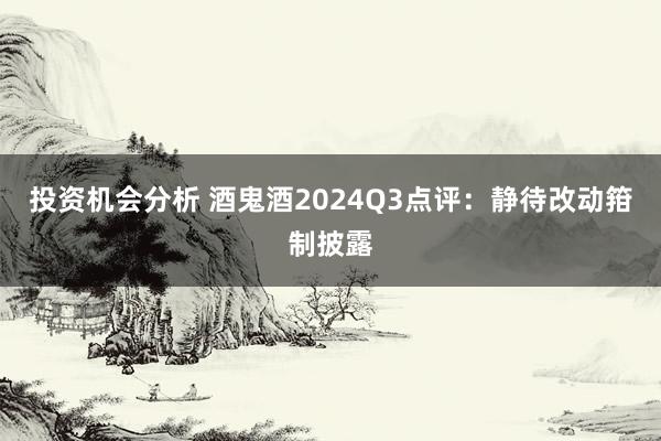 投资机会分析 酒鬼酒2024Q3点评：静待改动箝制披露