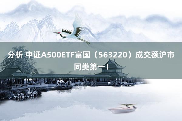 分析 中证A500ETF富国（563220）成交额沪市同类第一！