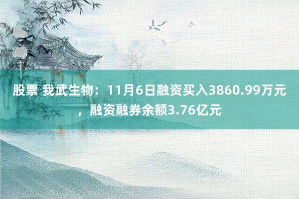 股票 我武生物：11月6日融资买入3860.99万元，融资融券余额3.76亿元