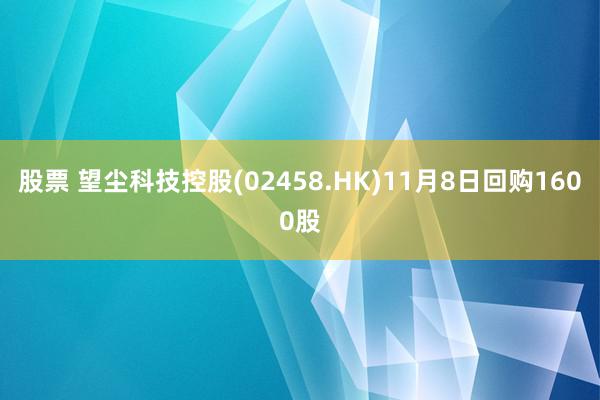 股票 望尘科技控股(02458.HK)11月8日回购1600股