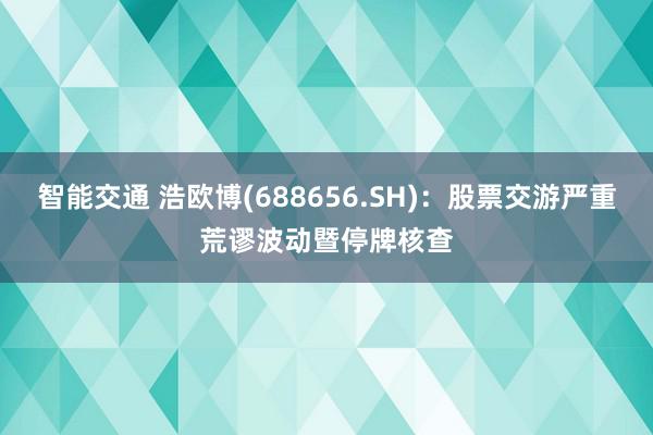 智能交通 浩欧博(688656.SH)：股票交游严重荒谬波动暨停牌核查