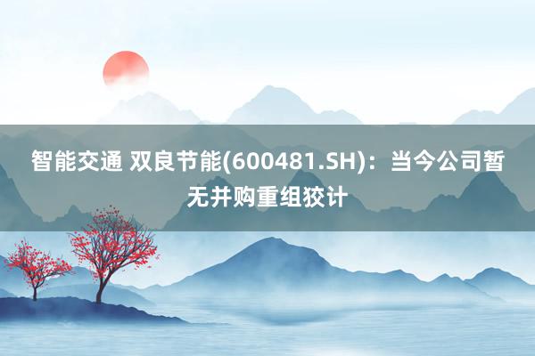 智能交通 双良节能(600481.SH)：当今公司暂无并购重组狡计