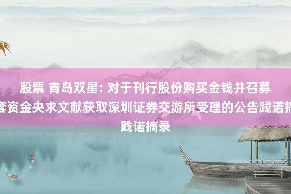 股票 青岛双星: 对于刊行股份购买金钱并召募配套资金央求文献获取深圳证券交游所受理的公告践诺摘录