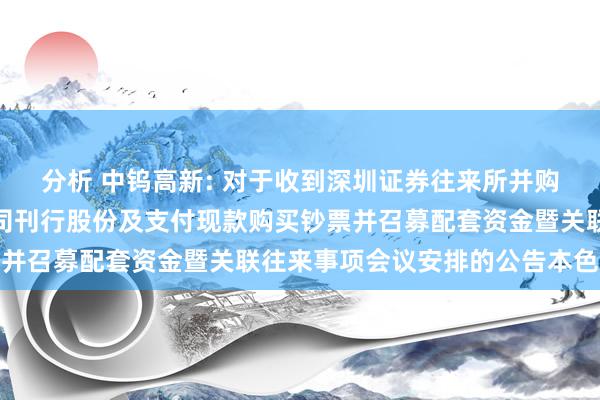 分析 中钨高新: 对于收到深圳证券往来所并购重组审核委员会审核公司刊行股份及支付现款购买钞票并召募配套资金暨关联往来事项会议安排的公告本色选录