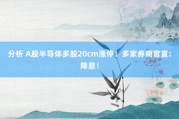 分析 A股半导体多股20cm涨停！多家券商官宣：降息！