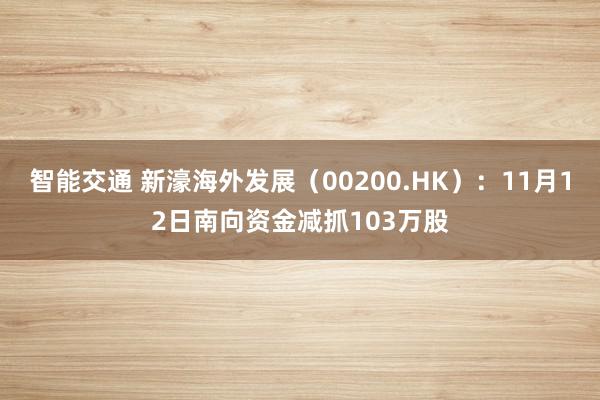 智能交通 新濠海外发展（00200.HK）：11月12日南向资金减抓103万股