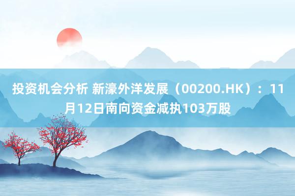 投资机会分析 新濠外洋发展（00200.HK）：11月12日南向资金减执103万股