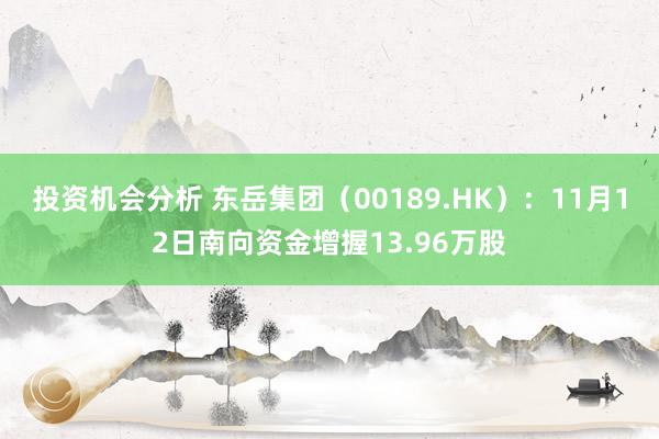 投资机会分析 东岳集团（00189.HK）：11月12日南向资金增握13.96万股