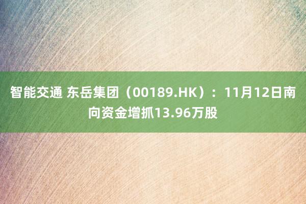 智能交通 东岳集团（00189.HK）：11月12日南向资金增抓13.96万股