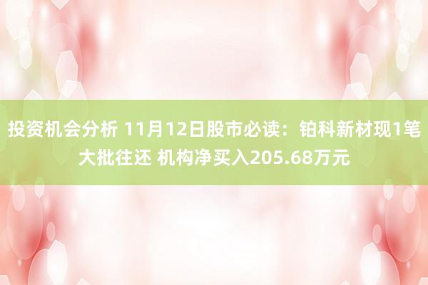 投资机会分析 11月12日股市必读：铂科新材现1笔大批往还 机构净买入205.68万元