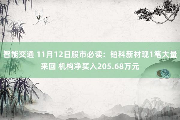 智能交通 11月12日股市必读：铂科新材现1笔大量来回 机构净买入205.68万元