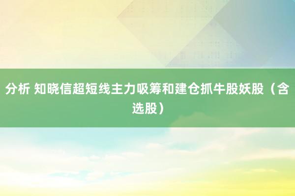 分析 知晓信超短线主力吸筹和建仓抓牛股妖股（含选股）