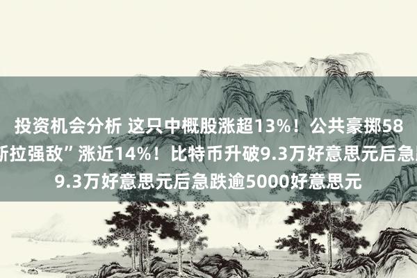 投资机会分析 这只中概股涨超13%！公共豪掷58亿好意思元，“特斯拉强敌”涨近14%！比特币升破9.3万好意思元后急跌逾5000好意思元