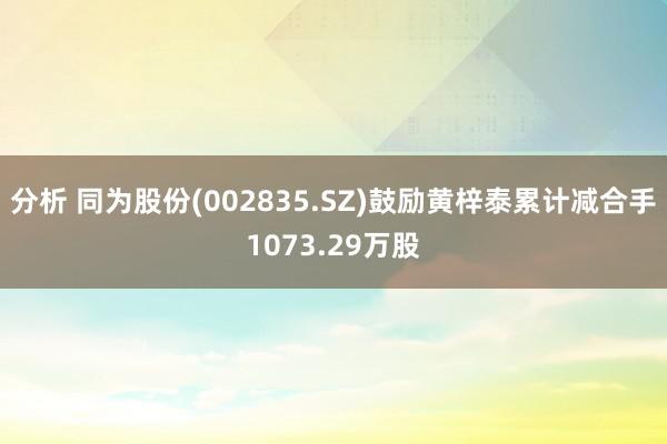 分析 同为股份(002835.SZ)鼓励黄梓泰累计减合手1073.29万股