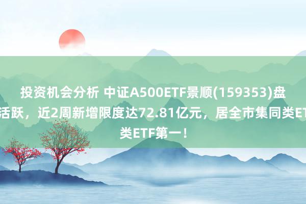 投资机会分析 中证A500ETF景顺(159353)盘中交投活跃，近2周新增限度达72.81亿元，居全市集同类ETF第一！