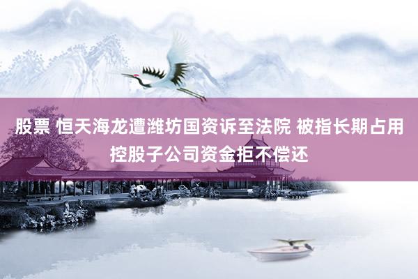 股票 恒天海龙遭潍坊国资诉至法院 被指长期占用控股子公司资金拒不偿还