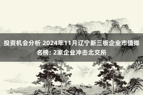 投资机会分析 2024年11月辽宁新三板企业市值排名榜: 2家企业冲击北交所