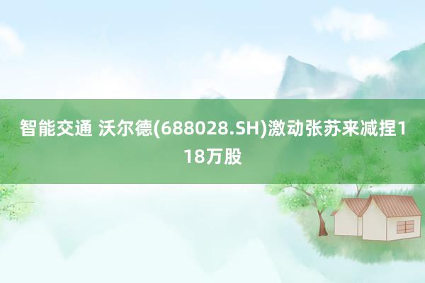 智能交通 沃尔德(688028.SH)激动张苏来减捏118万股