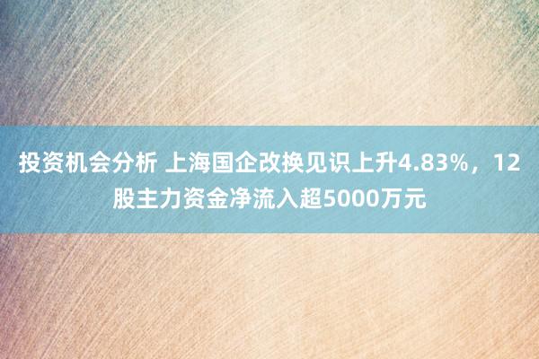 投资机会分析 上海国企改换见识上升4.83%，12股主力资金净流入超5000万元