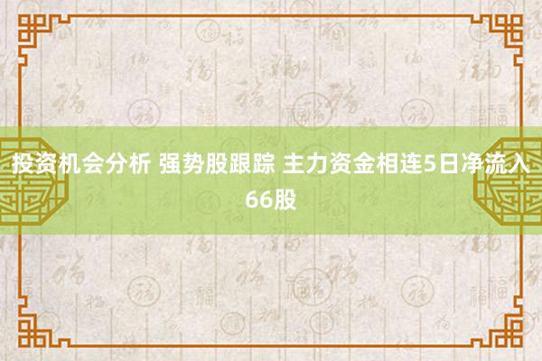 投资机会分析 强势股跟踪 主力资金相连5日净流入66股