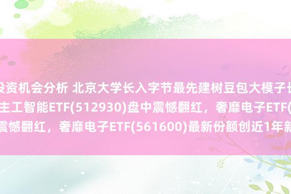 投资机会分析 北京大学长入字节最先建树豆包大模子长入推行室，AI东谈主工智能ETF(512930)盘中震憾翻红，奢靡电子ETF(561600)最新份额创近1年新高