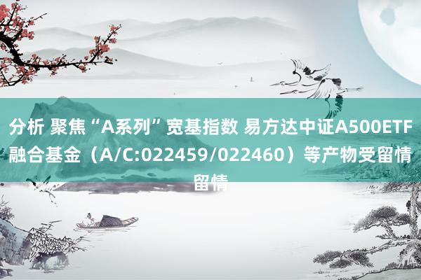 分析 聚焦“A系列”宽基指数 易方达中证A500ETF融合基金（A/C:022459/022460）等产物受留情