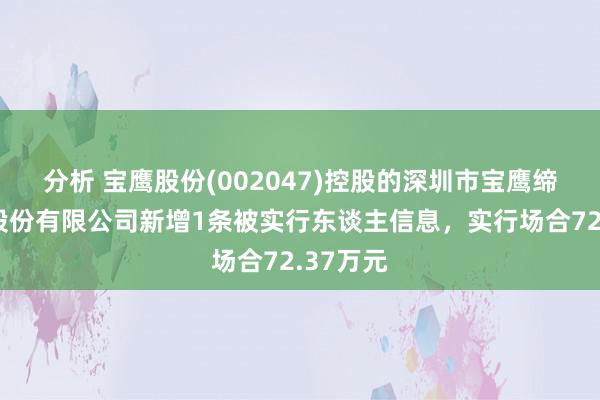 分析 宝鹰股份(002047)控股的深圳市宝鹰缔造集团股份有限公司新增1条被实行东谈主信息，实行场合72.37万元