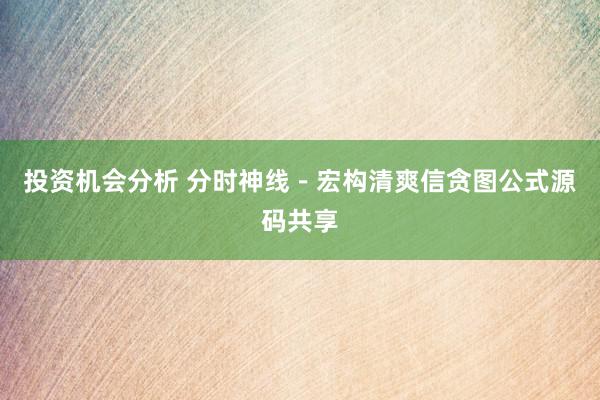 投资机会分析 分时神线－宏构清爽信贪图公式源码共享