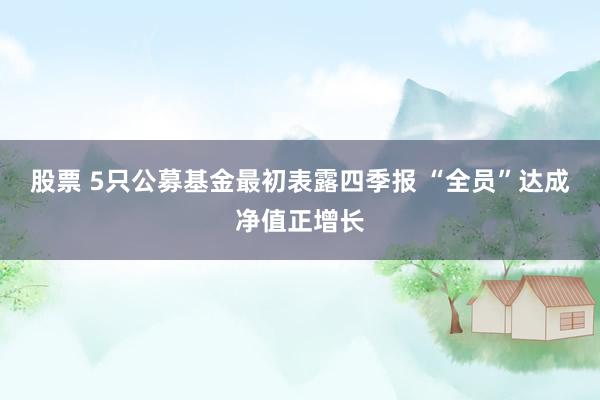 股票 5只公募基金最初表露四季报 “全员”达成净值正增长