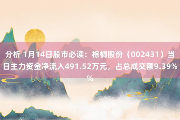 分析 1月14日股市必读：棕榈股份（002431）当日主力资金净流入491.52万元，占总成交额9.39%