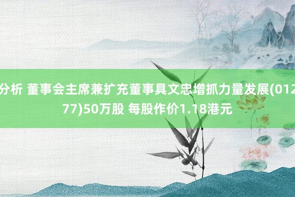 分析 董事会主席兼扩充董事具文忠增抓力量发展(01277)50万股 每股作价1.18港元