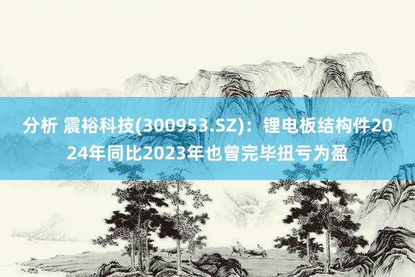 分析 震裕科技(300953.SZ)：锂电板结构件2024年同比2023年也曾完毕扭亏为盈