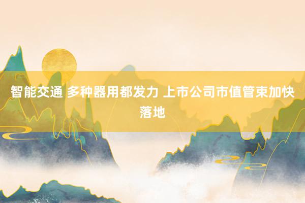 智能交通 多种器用都发力 上市公司市值管束加快落地