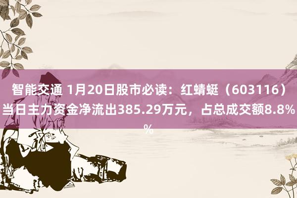 智能交通 1月20日股市必读：红蜻蜓（603116）当日主力资金净流出385.29万元，占总成交额8.8%