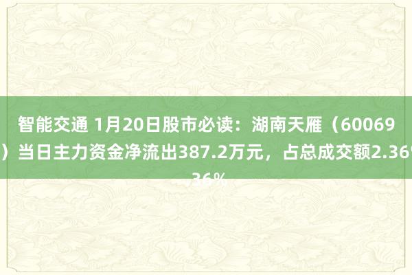 智能交通 1月20日股市必读：湖南天雁（600698）当日主力资金净流出387.2万元，占总成交额2.36%