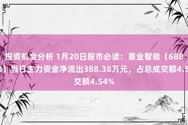 投资机会分析 1月20日股市必读：景业智能（688290）当日主力资金净流出388.38万元，占总成交额4.54%