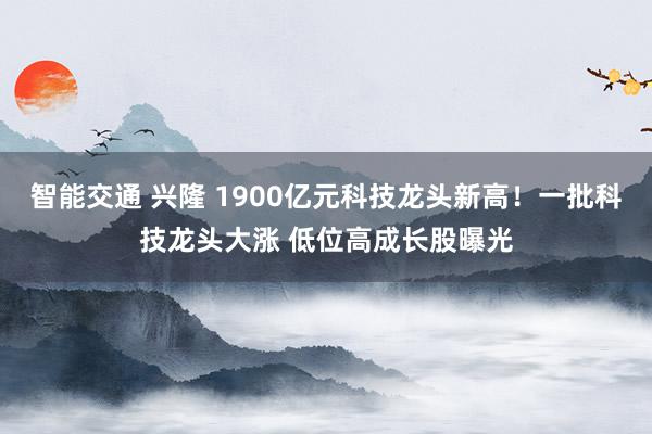 智能交通 兴隆 1900亿元科技龙头新高！一批科技龙头大涨 低位高成长股曝光