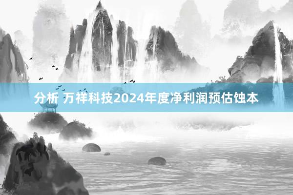 分析 万祥科技2024年度净利润预估蚀本