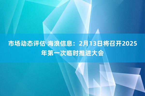 市场动态评估 海浪信息：2月13日将召开2025年第一次临时推进大会