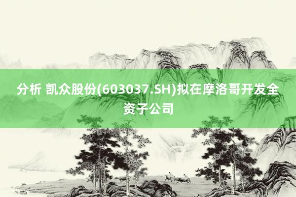 分析 凯众股份(603037.SH)拟在摩洛哥开发全资子公司