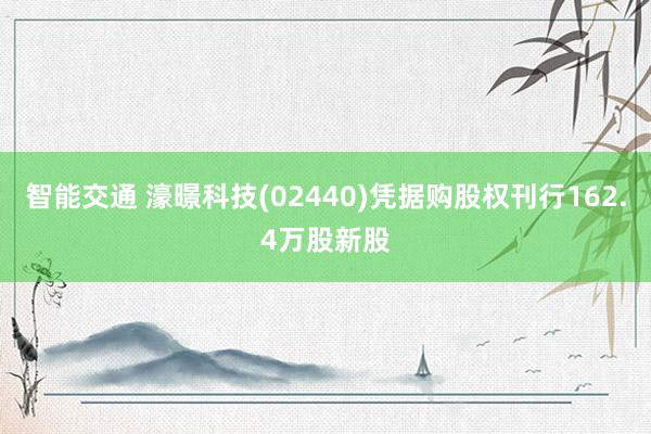 智能交通 濠暻科技(02440)凭据购股权刊行162.4万股新股