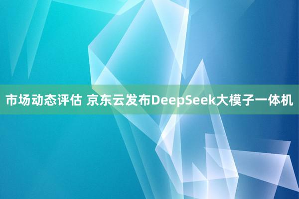 市场动态评估 京东云发布DeepSeek大模子一体机