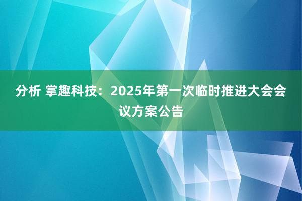 分析 掌趣科技：2025年第一次临时推进大会会议方案公告