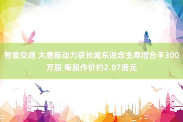 智能交通 大唐新动力获长城东说念主寿增合手300万股 每股作价约2.07港元